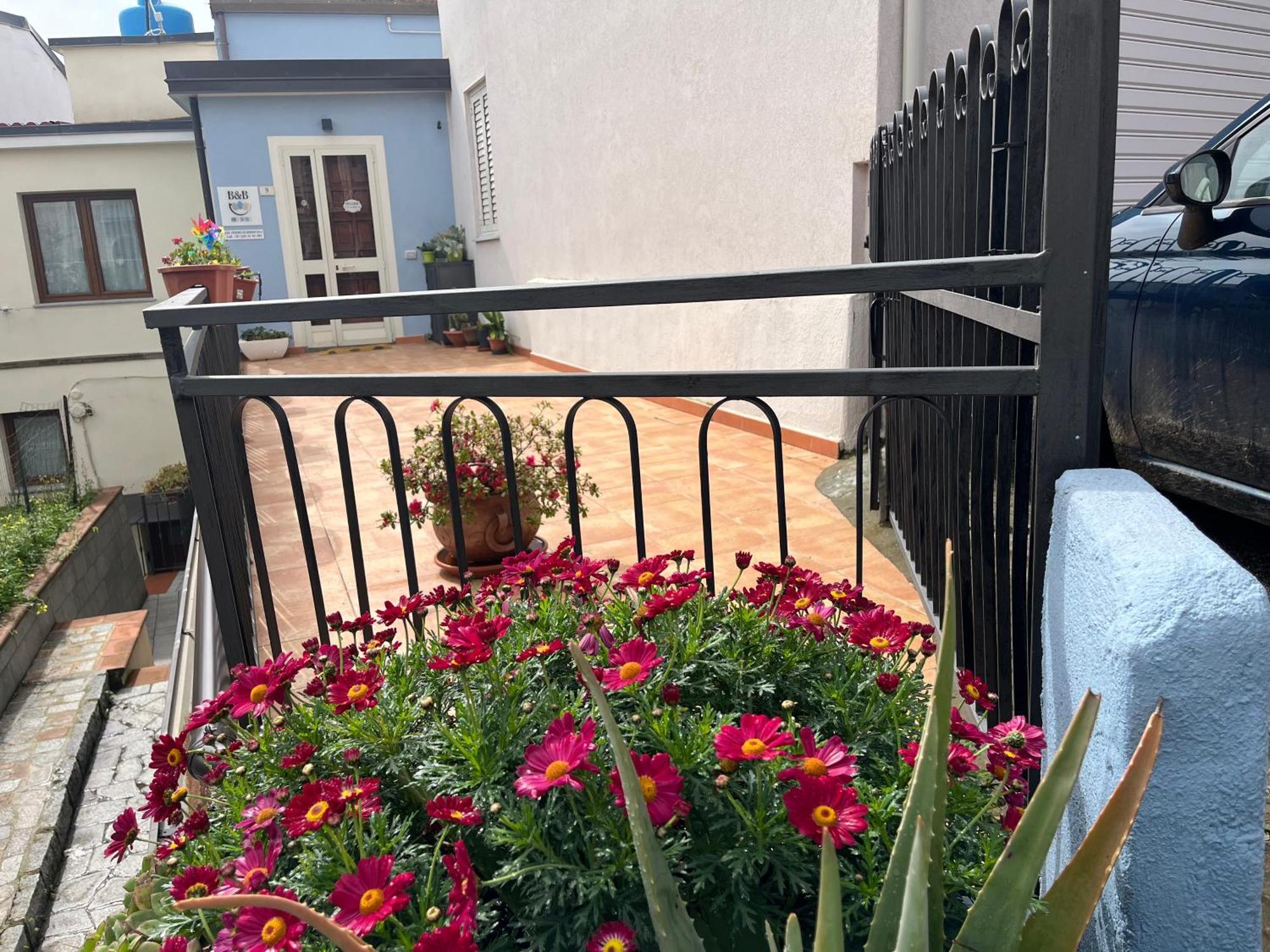 B&B Niu Susu Lanusei Bagian luar foto